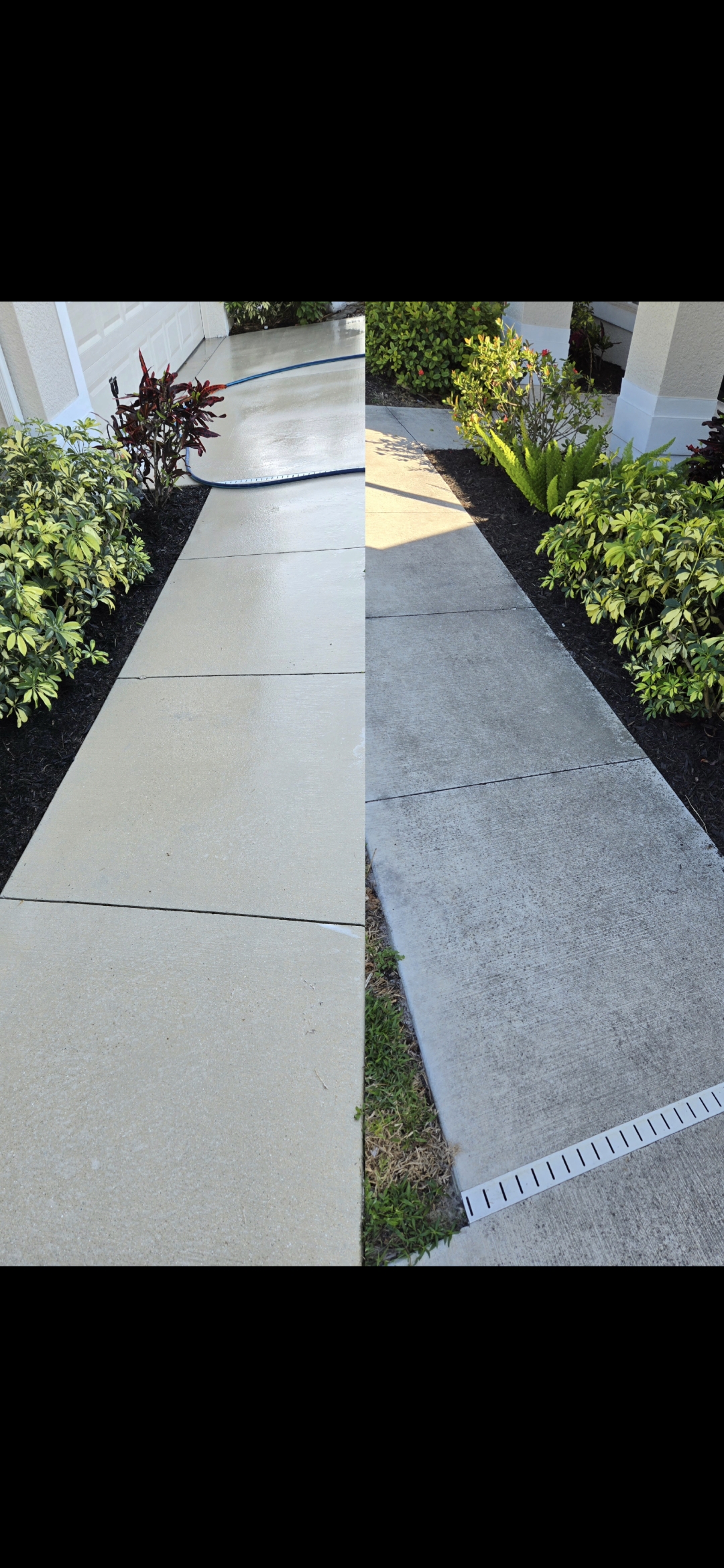 Professional Pressure Washing